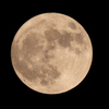 ハロウィン満月　今年最小でブルームーン　