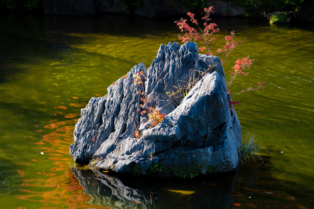池石