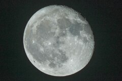 月齢16.7