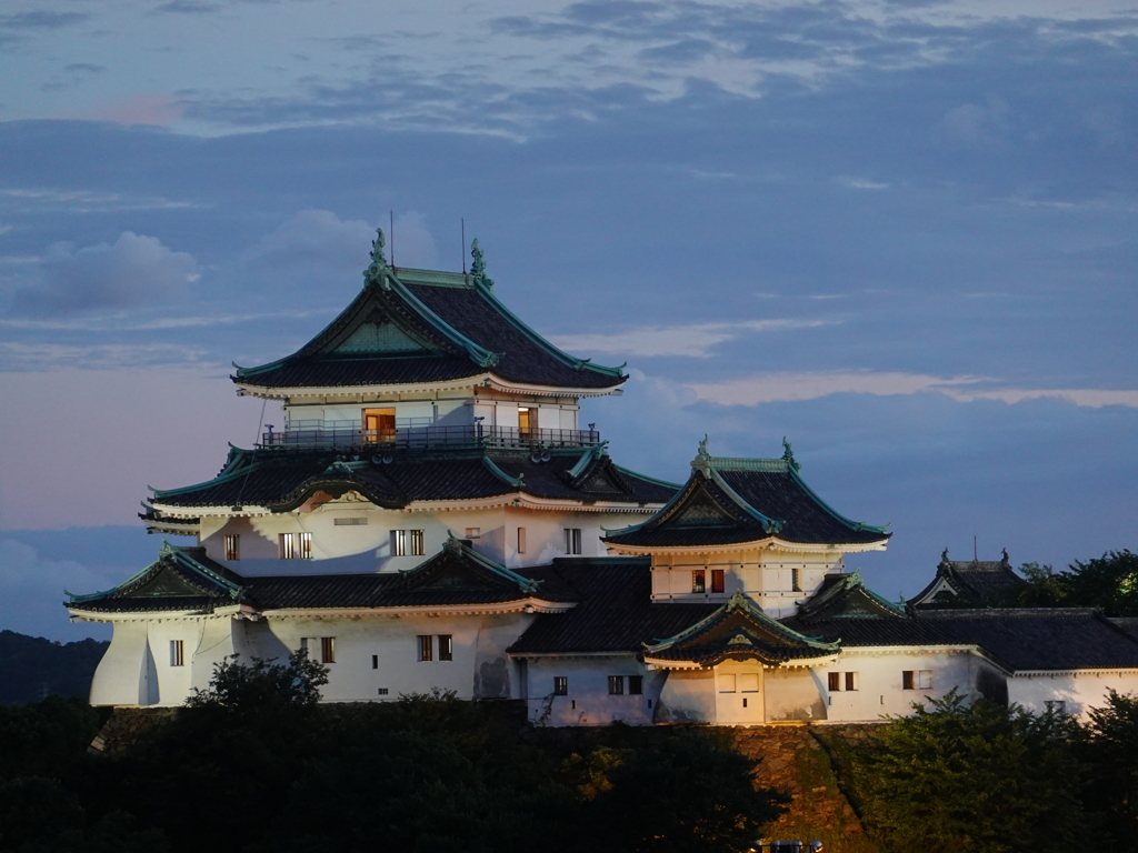 夕暮れの和歌山城天守