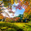 茶室庭園の紅葉－2