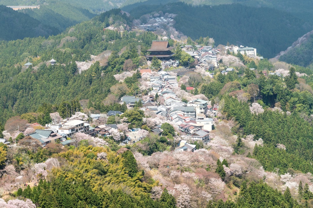 吉野山尾根