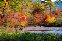 神戸市立森林植物園　Ⅱ回目－9