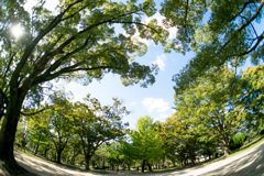 誰もいない公園