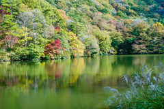 大野池