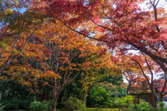 茶室の風景