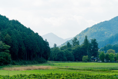 山里