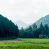 山里