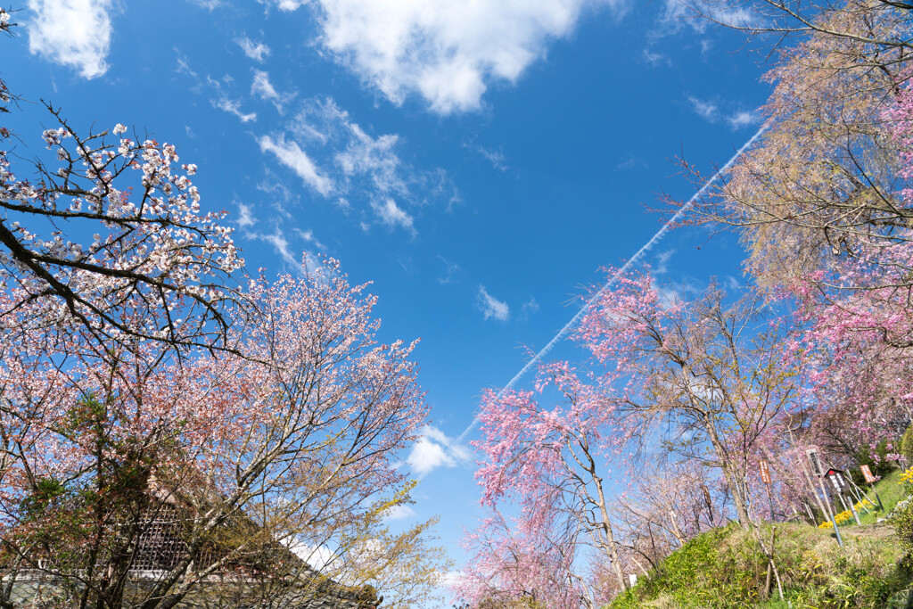 青空