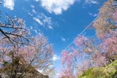 青空