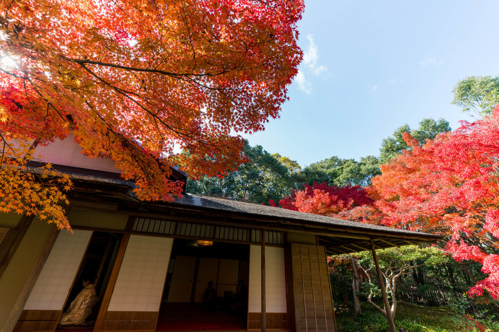 茶室・千里庵
