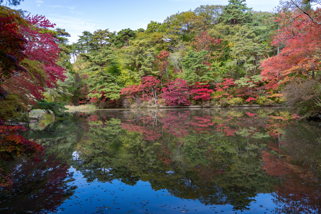 紅葉の長谷池－５