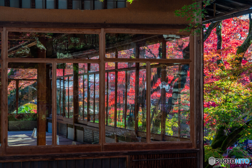 紅葉の宝厳院本堂