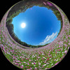 コスモス360°