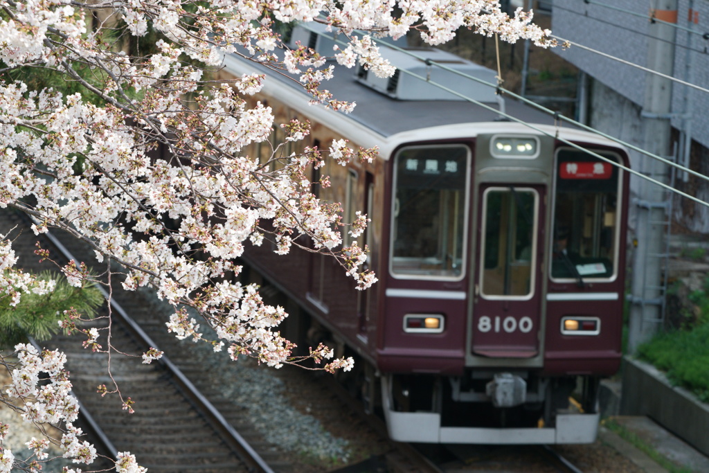 阪急神戸線　夙川を行く！