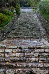 長保寺　本堂への階段