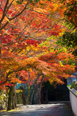 神峰山寺