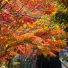 神峰山寺