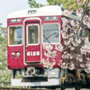 桜の鉄橋を渡る阪急電車