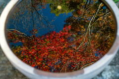手水鉢の「秋」