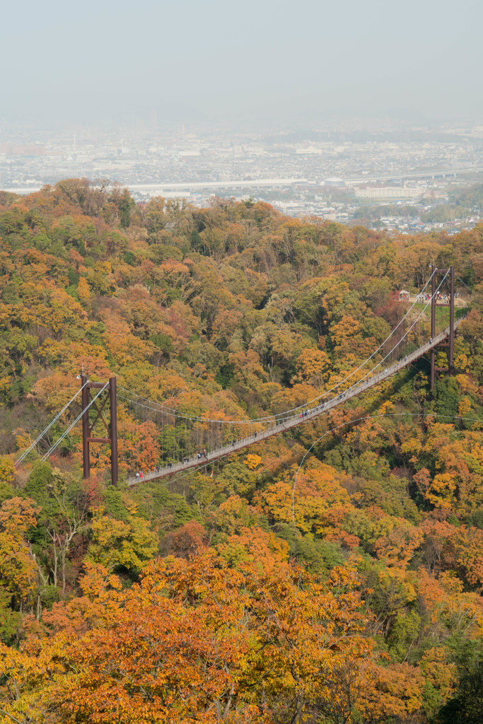 京都方面遠望