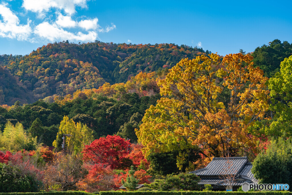 京都西山_秋風景