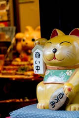 中は温いよ・・・　寄ってってニャー