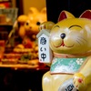 中は温いよ・・・　寄ってってニャー