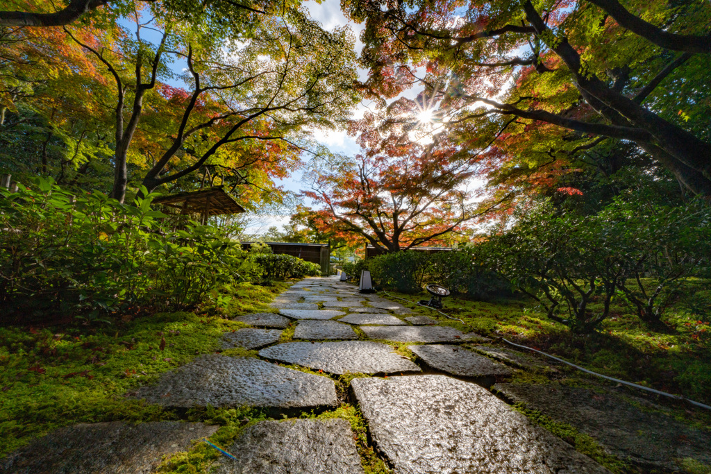 茶室庭園の紅葉－1