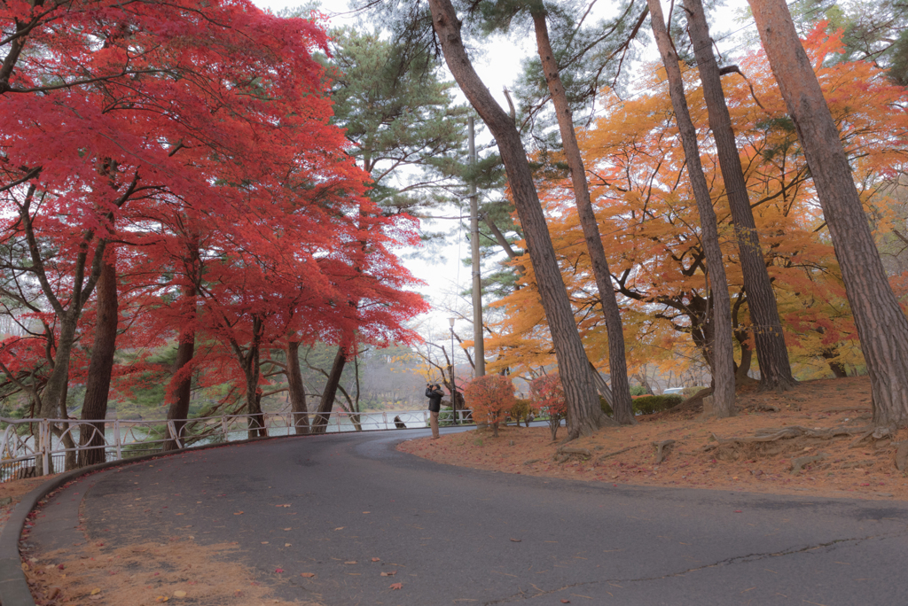 高松の池　お写んぽ
