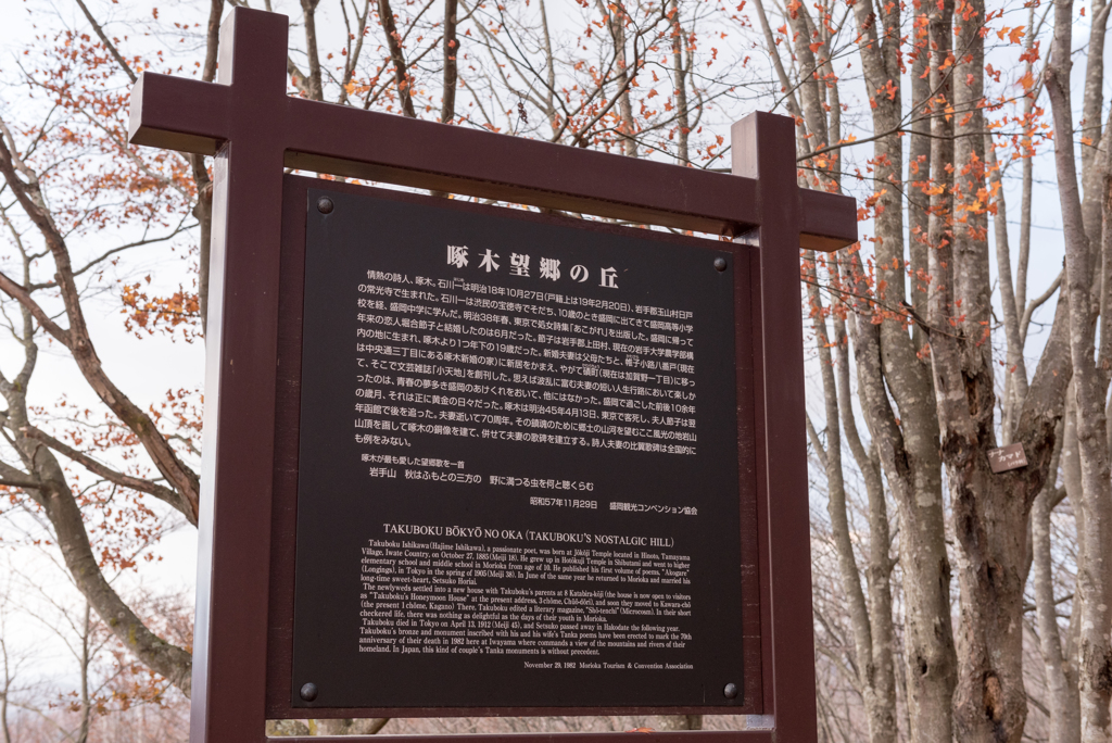 岩山展望台