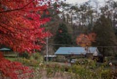 高松の池　お写んぽ