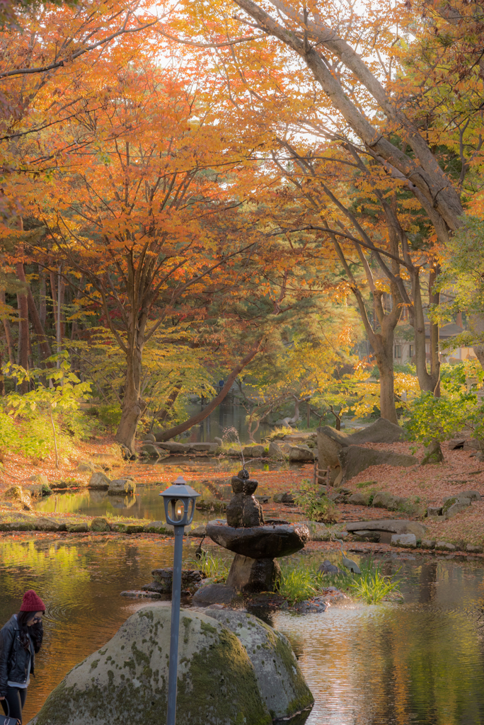 盛岡城跡（岩手）公園　紅葉