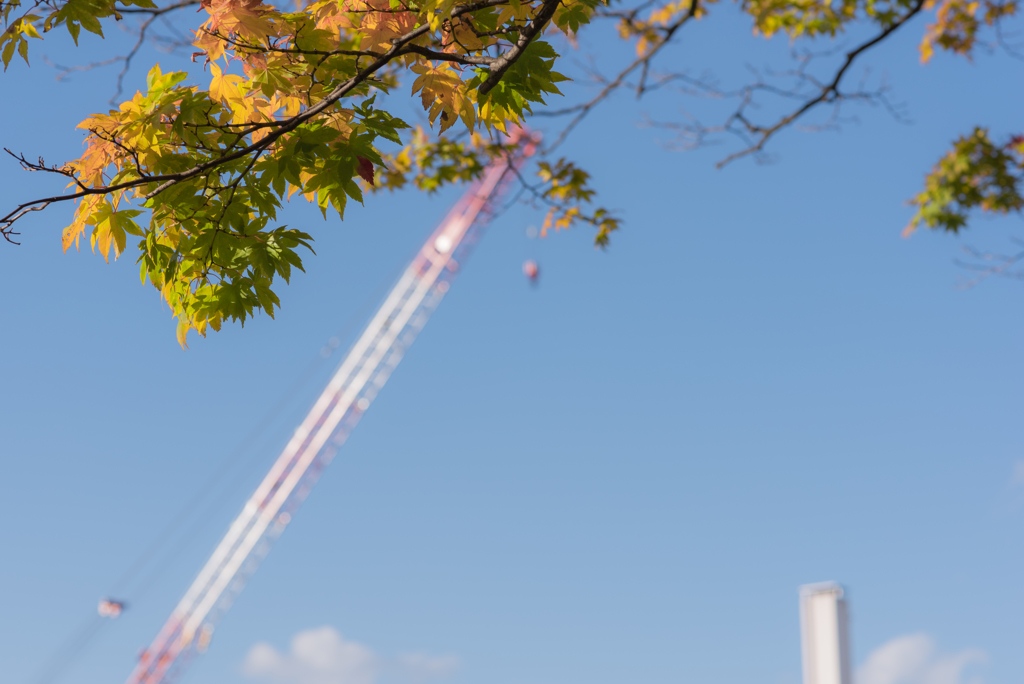 盛岡城跡（岩手）公園　紅葉
