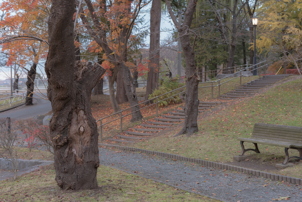 高松の池　お写んぽ