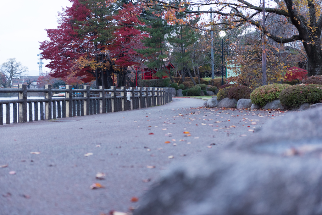 高松の池　お写んぽ