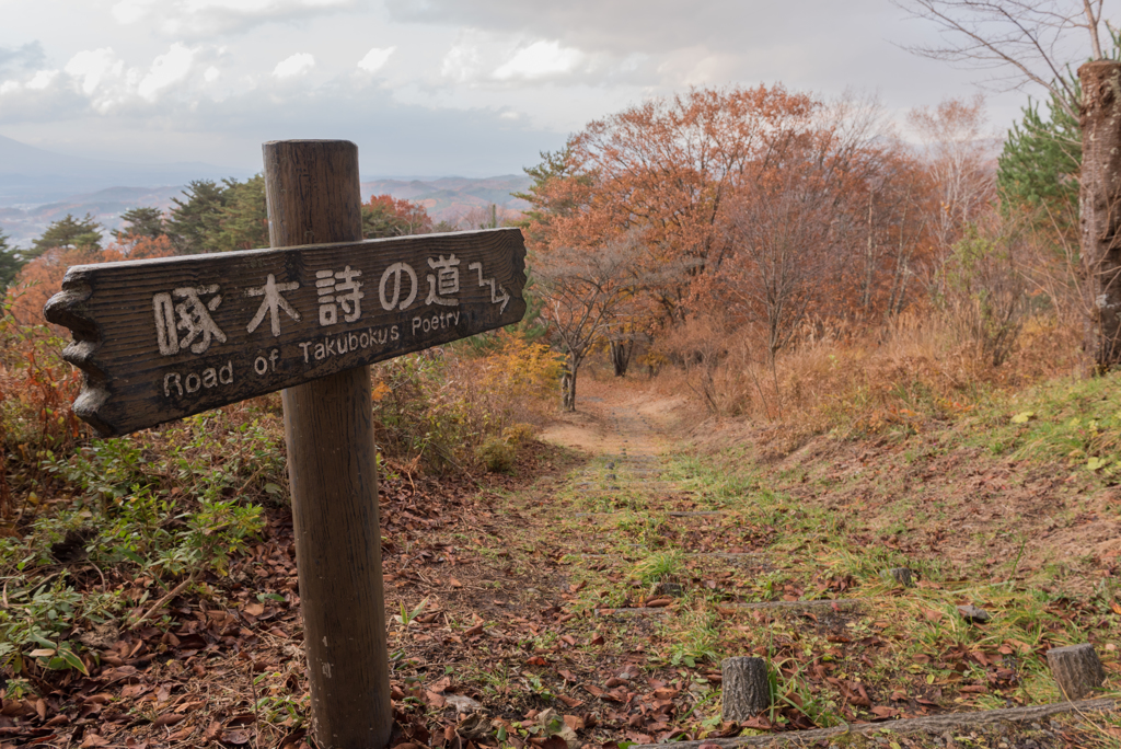 岩山展望台