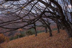 岩山展望台