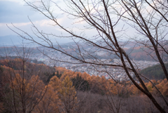 岩山展望台