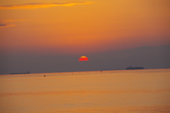 IMGP0909