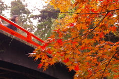 IMGP0376