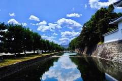 炎天下の二条城