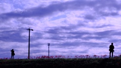 彼岸花、撮る人それを写す人