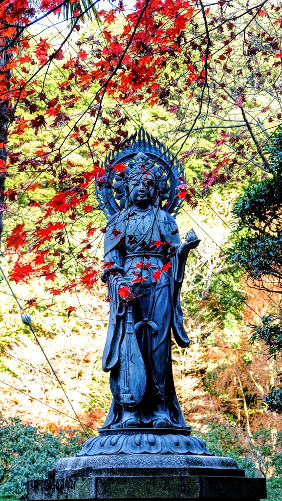 99D9A05B-A731-4108-8899-D616609CF2F8