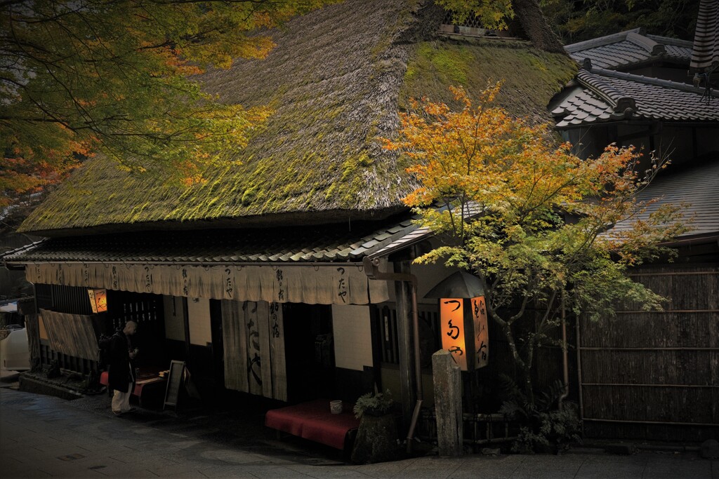 老舗のお茶屋