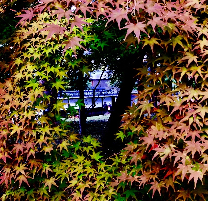 グラデーションの向こうに❤️