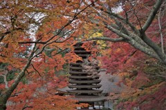 談山神社Ⅲ