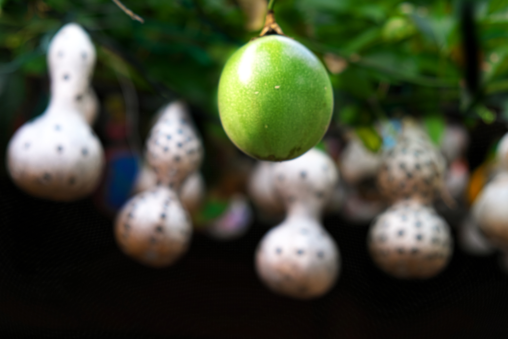 Passion fruit