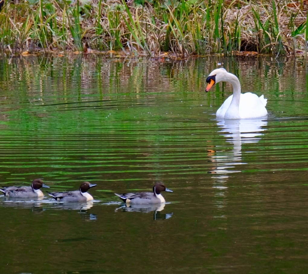 前失礼しま～す