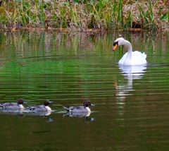 前失礼しま～す